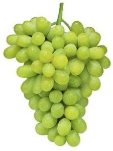 Thompson Seedless Grapes, Packaging Size : 50 Kg