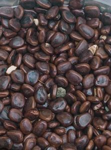 tamarind seeds