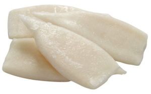 Frozen SquId, Packaging Type : Carton Boxes