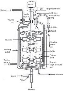 Bioreactor, Automation Grade : Fully Automatic