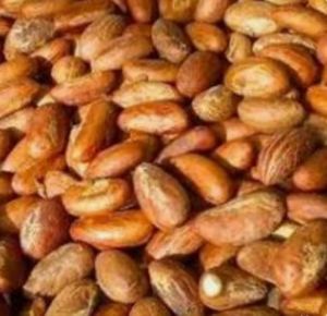 bitter kola, Purity : 98%, Packaging Type : 50kg sack