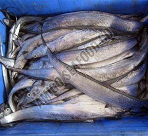 frozen ribbon fish