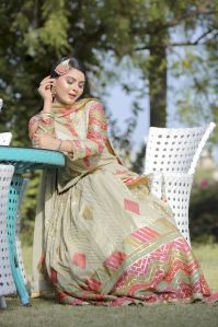 Pakistani Georgette Lehenga Choli