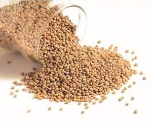 Organic Sorghum (Jowar), Packaging Type : PP Bags