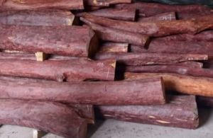 red sandalwood logs