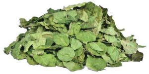 Dried Moringa Leaves