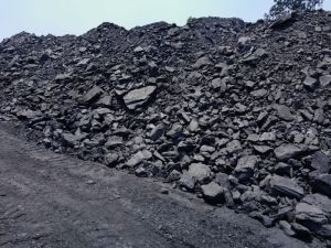 Bituminous Coal