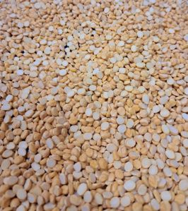 Split Bengal Gram (Chana Dal) For Cooking