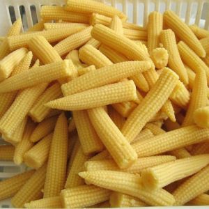 Frozen Baby Corn For Human Consumption