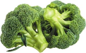 A Grade Fresh Green Broccoli, Packaging Size : 20kg