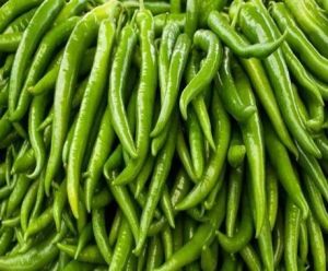 Fresh Long Green Chilli, Packaging Size : 20 Kg