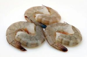 Frozen Fiddler Shrimp