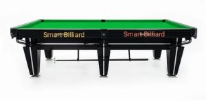 Rasson Professional Pool Table