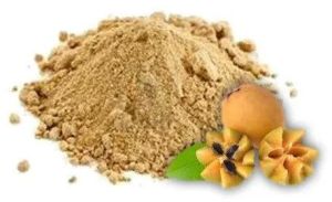 Natural Spray Dried Chikoo Powder, Packaging Type : Bag