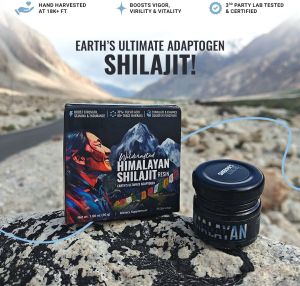 Himalayan Shilajit Resin