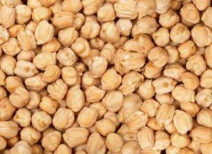 Chick Peas