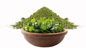 Natural Coriander Leaves Powder, Packaging Type : Plastic Packet