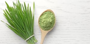 Wheat Grass Powder