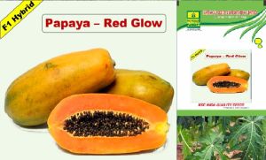 Papaya Seeds For Agriculture