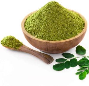 Moringa Leaves Powder For Medicines Products