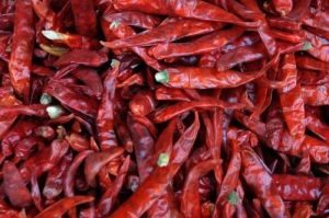 Raw Natural Dry Red Chili For Food Medicine, Spices, Cooking