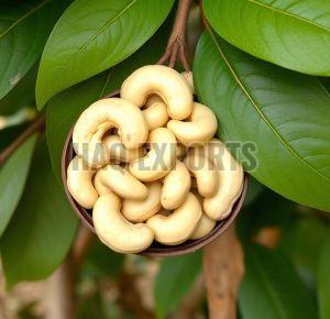 Cashew Nuts For Food, Snacks, Sweets