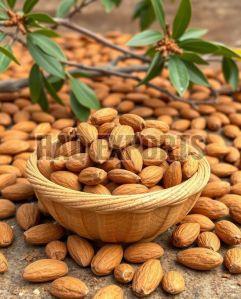 Hard Organic Kashmiri Almonds