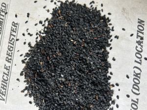 Natural Black Sesame Seeds For Cooking