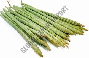 Organic Green Drumstick For Cooking