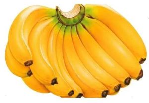 Natural Fresh Organic Banana, Taste : Sweet