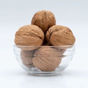 Whole Walnut For Oil Extraction, Direct Consumption