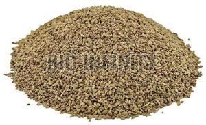 Natural Ajwain Seeds For Spices, Cooking