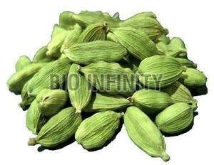 Raw Natural Green Cardamom For Cooking, Spices