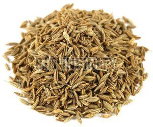 Organic Cumin Seeds, Packaging Type : Plastic Packet