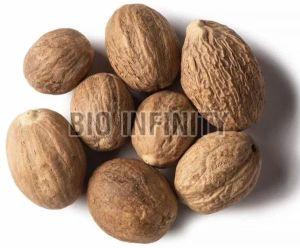 Natural Whole Nutmeg For Spices, Cooking