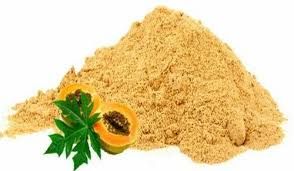 Common Papaya Powder, Packaging Type : Plastic Packet