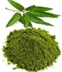 Dry Mango Leaves Powder