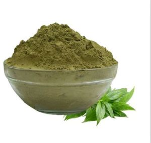 Natural Kalmegh Powder, Packaging Size : 10 Kg