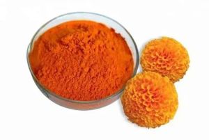 Natural Marigold Flower Powder, Packaging Size : 10kg