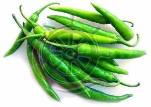 Fresh Green Chilli, Packaging Size : Loose