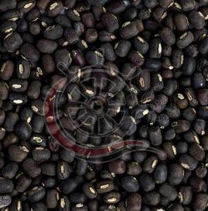 Organic Whole Black Urad Dal For Cooking