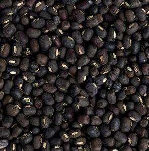 Whole Black Urad Dal