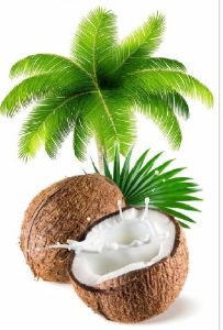 Cold Pressed Coconut Oil