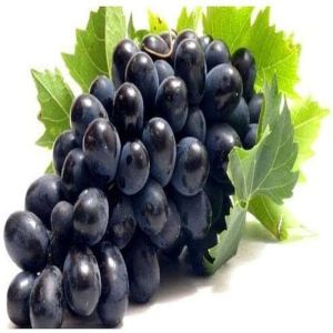 Fresh Black Grapes, Taste : Sweet