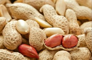 Organic Shelled Groundnuts