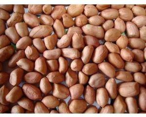 Raw Groundnut Seeds For Food