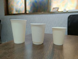 Double Wall Paper Cup