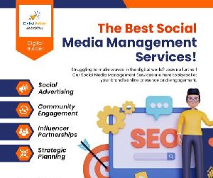 Social Media Management Services