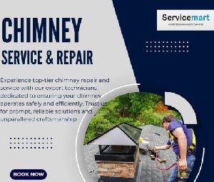 Electric Chimney Repairing Service