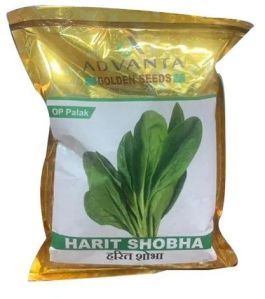 Harit Shobha Op Golden Palak Seeds, Packaging Size : 500 Gm, Packaging Type : Plastic Packets For Agriculture Use